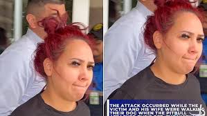 Pit bull owner arrested after dog ripped man's mouth off as he tried to  save his own pet from being attacked