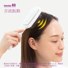 楽天市場】FESTINO フェスティノ Salon Care Styling Ion Brush サロンケア スタイリングイオンブラシ  SMHB-027 マイナスイオン 音波振動 ブラシ2種付属 サロン級 サロン仕上がり スカルプケア ヘアケア : UNLIMIT セレクトショップ