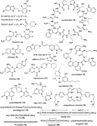 A Review of Antibacterial Candidates with New Modes of Action