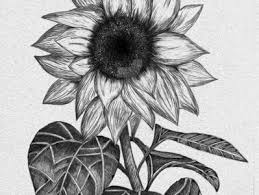 Inilah sejumlah mitos bunga kantil, bunga yang selalu diidentikkan sebagai bunga yang disukai oleh bunga yang menebarkan aroma harum ini memang sangat erat kaitannya dengan dunia mistis. Laila Atiqah Nurlailaatiqah04 Profile Pinterest