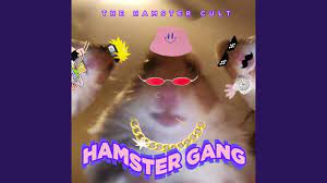 Hamster Gang - YouTube