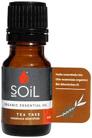 Thank you for visiting nature.com. Buy Soil Tea Tree Essential Oil Online Faithful To Nature