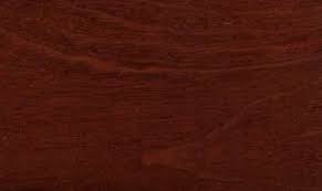 Image result for Amblygonocarpus