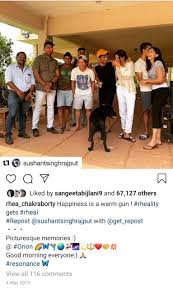 Including him, there are six ljp mps in the lok sabha. Sushant Rhea Unseen When Sushant Singh Rajput Shared Picturesque Memories With Rhea And Deleted Them Later