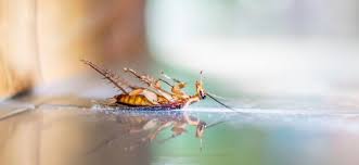 We ensure guaranteed satisfaction and fair pricing for the. The Industry Blog On Pittsburgh Pest And Hygiene Control