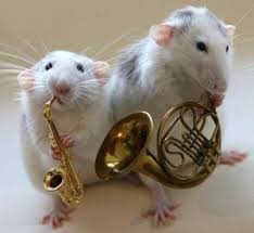 Sirin Beyaz Fare Fareler Muzik