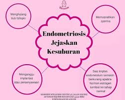 Zigot tumbuh dan berkembang dengan mitosis menjadi individu baru yang berfungsi sepenuhnya. Facebook