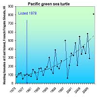 Cbd Sea Turtles Birds In Guam Hawaii Among Species