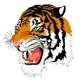 Jefferson Boys Varsity Basketball @ Daingerfield - Daingerfield High School, 202 Tiger Dr Event Image