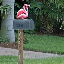 Mailbox Bonita Flamingos Avec Images Flamant Flamant Rose Flamand Rose