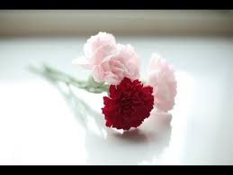 How To Make Paper Flowers Carnation Free So Easy Paper Flower Video How To Make Paper Flowers Paper Flowers Diy