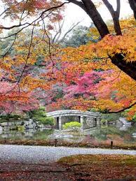 10 Free Things To Do In Osaka And Kyoto Japan Cheapflights Japanese Garden Kyoto Beautiful Japanese Gardens