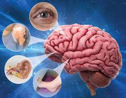 Image result for Dizziness