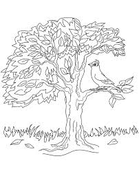 Trees are among the most sought after coloring page subjects all over the world with parents often looking for unique printable tree coloring sheets online. Bird Sitting On The Tree Coloring Page To Print And Download