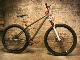 Ari Titan 29 Er With Carbon Belt Drive Treten