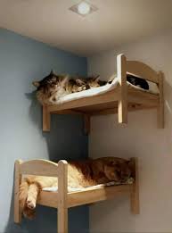 Mobellagersandiego Info 2527791441 Info Mobellagersandiego Cat House Diy Ikea Doll Bed Cat Bunk Beds