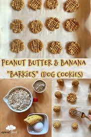 Peanut Butter And Banana Barkies Dog Cookies Epicuricloud Tina Verrelli Recipe Healthy Dog Treats Homemade Easy Dog Treats Dog Cookie Recipes