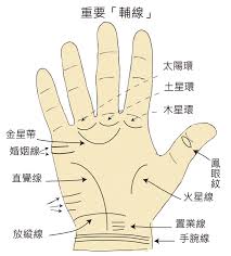 金子元風水．命理．玄學顧問