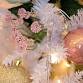 Christmas Symphony - Sunday