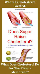Cholesterollevels How Much Cholesterol In 0p How To Remove
