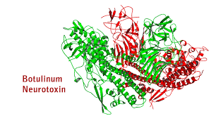 Who's role in responding to outbreaks of botulism that may be of international concern is as follows. Botulinum Toxin S Deadly Cloaking Mechanism Global Biodefense
