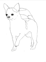 Click the printable chihuahua coloring pages to view printable version or color it online (compatible with ipad and android tablets). Chihuahua Coloring Page Coloring Pages For Kids And For Adults Coloring Home