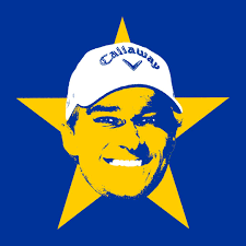 Image result for Ryder Yellow 1995 Fleet