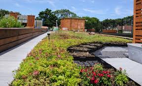 As a city dweller, i envy anyone that has an outdoor space they can call their own. Rooftop Garden Drainage System Desain Taman Atap Rumah