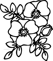 Flower Violet Coloring Page Coloring Pages Flower Coloring Pages Printable Coloring