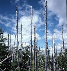 Посмотрите больше идей на темы «дождь, картины, дождливые дни». Acid Rain Climate Change Are Connected Here S How Adirondack Council