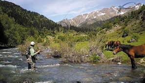 Skyscanner allows you to find the cheapest flights from barcelona airport without having to enter specific dates or even destinations, making it the best place to find cheap flights. Fishing In Barcelona Expert Guide To Fishing The Catalonia Rivers