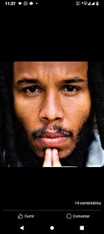 Ziggy Marley Fans