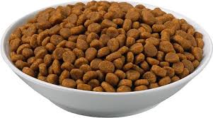 Tahilsiz Kedi Mamalari Saglikli Mi Tahilli Vs Tahilsiz Suzionline