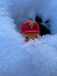 In celebration of National Rubber Ducky Day