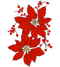 Download Free Photo Of Poinsettia Flower Christmas Christmas Flower Line Art From Needpix Com