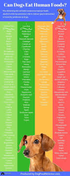 Maybe you would like to learn more about one of these? What Food Is Toxic To A Dog Lots Of Helpful Pinnable Charts Can Dogs Eat Homemade Dog Food Human Food