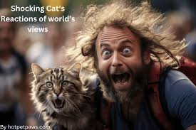 Nameless Saint - Just Learned Humans Have Stripes, We... | Facebook