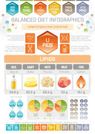Fat Lipids Diet Infographic Diagram Poster Water Protein Lipid