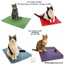 Check spelling or type a new query. Feline Yogi S Yoga Cat Mat Modern Cat