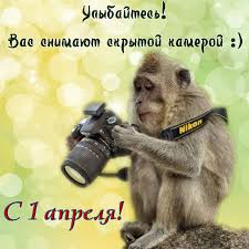 Новая коллекция смешных картинок с первым апреля, развеселите друзей и коллег онлайн. 1 Aprelya Den Smeha Krasivye Otkrytki I Kartinki