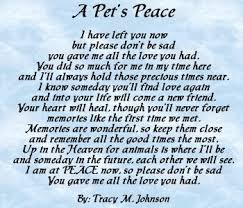 Rainbow bridge video tribute to our beloved pets. 19 Personal Pet Sentiments Ideas Pet Loss Grief Dog Quotes Pet Remembrance