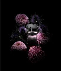 Narciso Rodriguez For Her Musc Collection Eau De Parfum Intense Zhenskij Aromat Narciso Rodriguez Musc Collection Eau De Parfum Intense Prodazha Cena V Kieve Par Still Life Photography Still Life Photographers Dark Flowers