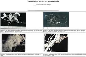 Angel hair is said to disintegrate or evaporate within a short time after forming. Raumfahrt Astronomie Blog Von Cenap Blog Ufo Forschung Aus Dem Cenap Archiv Ufo History Teil 06