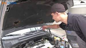 de steenmarters komen weer tevoorschijn bescherm jouw auto met deze handige tips zelfmaak ideetjes auto tips handige tips