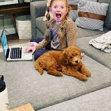 Aaron Rennaker (@aaronrennaker) • Instagram photos and videos