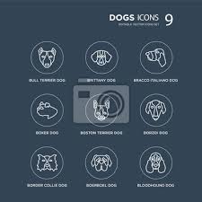 9 Bull Terrier Dog Brittany Border Collie Borzoi Boston Bracco Posters For The Wall Posters Italian Brown German Myloview Com