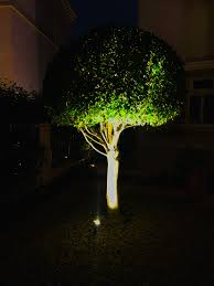 Tree Lighting Landscape Lighting Tree Lighting Indoor Lighting