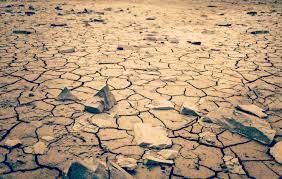 Free for commercial use no attribution required high quality images. When Will Global Warming Become Irreversible World Economic Forum