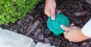Learn what to look for and how to determine if you have termites or carpenter ants. All Safe Pest Termite Local Dallas North Tx Pest Control Experts