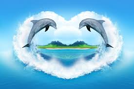 Your beautiful work has been featured here the lone dolphin: Dolphin Wallpaper Dolphin Common Bottlenose Dolphin Sky Marine Mammal Water Cetacea Bottlenose Dolphin Short Beaked Common Dolphin World Love 1077906 Wallpaperkiss
